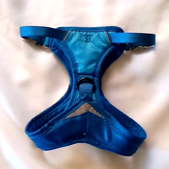 Puppy or small dog halter , safest, most gentle way to leash your little one. - Picture 1 of 4